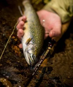 Equipment Redington Classic Trout Fly Fishing Rod