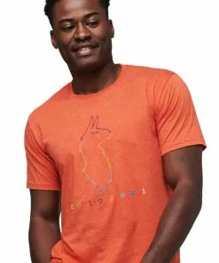 Cotopaxi Men's Electric Llama T-Shirt Mens