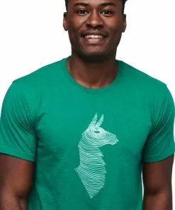 Cotopaxi Men's Topo Llama T-Shirt Mens