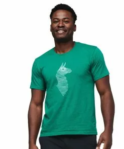 Cotopaxi Men's Topo Llama T-Shirt Mens