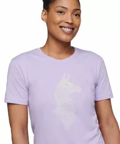 Womens Cotopaxi Women's Topo Llama T-Shirt