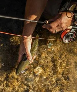 Sage Foundation Fly Fishing Rod