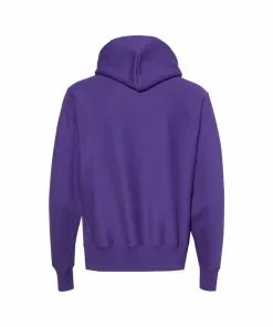 Powerblend Champion The Summit At Snoqualmie Youth Hoodie Logo 12 Champion The Summit At Snoqualmie Logo Youth Powerblend Hoodie