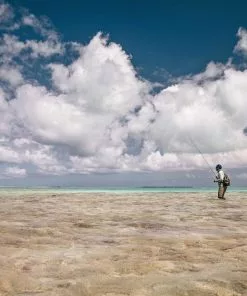 Equipment Sage Maverick Fly Fishing Rod