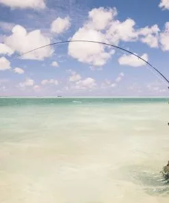 Equipment Sage Maverick Fly Fishing Rod