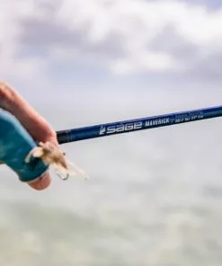 Equipment Sage Maverick Fly Fishing Rod