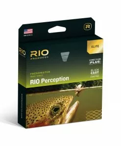 Equipment RIO Elite Perception Fly Line