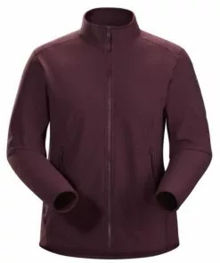 Womens Arcteryx Women's Delta LT Jacket