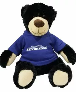 Soft Stuff Creations Gatlinburg SkyBridge Logo Rufus Plush Black Bear SkyLift Park, Tennessee