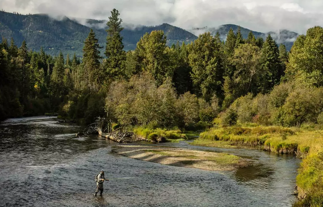 Sage Rod Equipment Sonic Fly Fishing 7 Sage Sonic Fly Fishing Rod Equipment