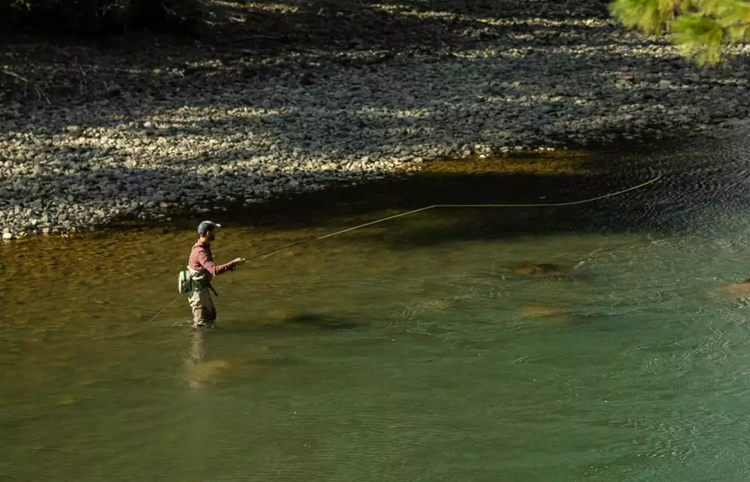 Sage Rod Equipment Sonic Fly Fishing 8 Sage Sonic Fly Fishing Rod Equipment