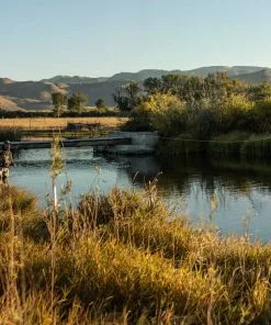 Sage Trout LL Fly Fishing Rod Equipment