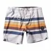 Vissla Men's Fist Bump 17.5in Ecolastic Shorts